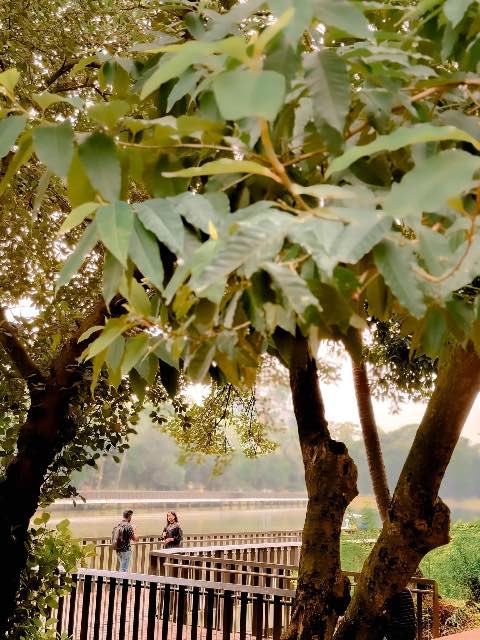 Street photography by Drishyopoth, photo 24